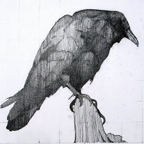 pen and ink Crows Drawing, Fish Sketch, Pen Drawings, Crow Art, Raven Art, Crows Ravens, Tattoo Style Drawings, Doodle Sketch, A Level Art