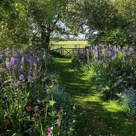 Monty Don, Romantic Aesthetic, Cottage Aesthetic, Fotografi Vintage, Dream Cottage, Garden Cottage, Alam Yang Indah, Nature Aesthetic, Pretty Places