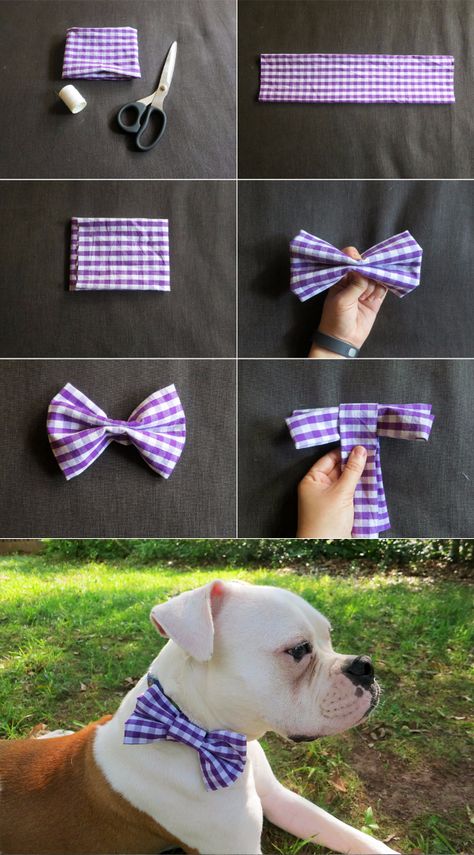 DIY Dog Hacks - DIY Dog Collar Bow Tie- Training Tips, Ideas for Dog Beds and Toys, Homemade Remedies for Fleas and Scratching - Do It Yourself Dog Treat Recips, Food and Gear for Your Pet #dogs #diy #crafts Dog Hacks Diy, Make A Dog Collar, Katt Diy, Diy Dog Collar, Dog Collar Bows, Dog Collar Bow Tie, Dog Projects, Dog Crafts, Dog Hacks