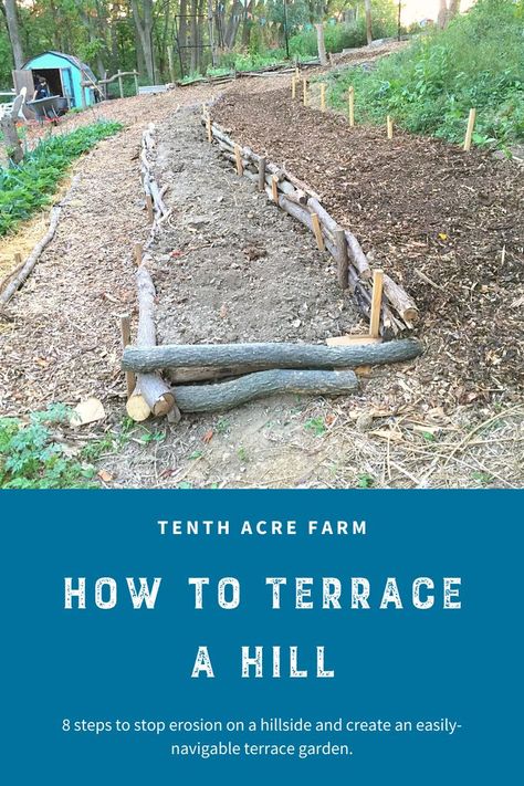 Diy Terraced Garden, Sloped Homestead, Permaculture Design On Slope, Vegetable Garden Slope, Slope Terrace Hill Landscaping, Terraced Garden Planting Ideas, Landscape Terrace Sloped Yard, Terraced Sloped Yard, Sloping Vegetable Garden