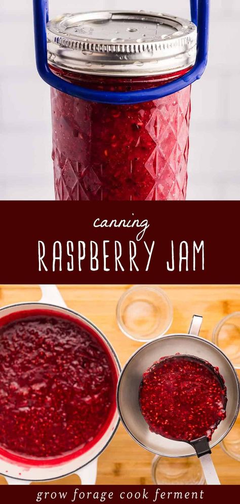 Low sugar raspberry jam is a must-try summer delight. This easy-to-make recipe uses Pomona's Pectin and optional sugar, making it guilt-free. Preserve the deliciousness of raspberry season with this canning method. Perfect for beginners, it’s a great way to enjoy fresh raspberries year-round. Find more canning for beginners, water bath canning recipes, no sugar jam recipes, and low sugar jam recipes at growforagecookferment.com. Canning Raspberry Jam, Canning Fruit Recipes, Low Sugar Jam Recipes, Canning For Beginners, Easy Jam Recipe, Water Bath Canning Recipes, Canning Jam Recipes, Low Sugar Jam, Homemade Raspberry Jam