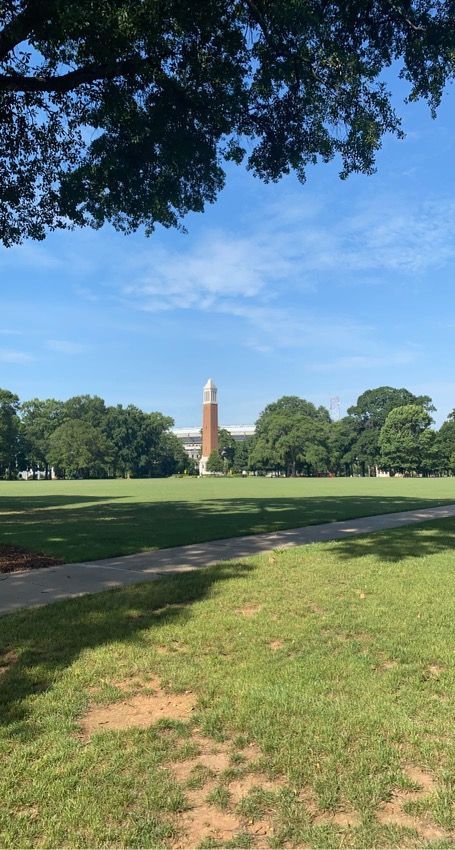 University of Alabama Campus on a sunny day Roll Tide Tuscaloosa Alabama, Alabama Roll Tide, The University Of Alabama, University Of Alabama, Roll Tide, College Students, Want You, Alabama, Golf Courses