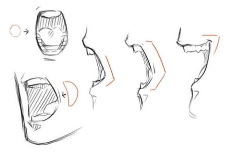 Open Mouth Drawing, Expression References, Mouth Reference, Profile Drawing, Mouth Drawing, Drawing Heads, Gambar Figur, Drawing Expressions, Anatomy Drawing