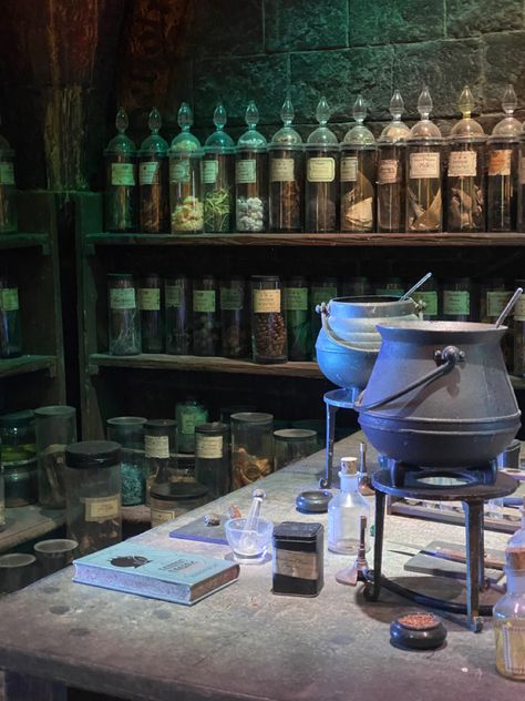 Potions Classroom, Hp Crafts, Hogwarts Interior, House Party Aesthetic, Harry Potter Classes, Hogwarts Classes, Harry Potter Classroom, Harry Potter Potions, Harry Potter Bedroom