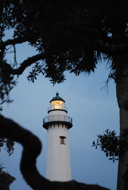 Saint Simons Island Lighthouse, Saint Simons Island, Georgia Georgia Lighthouses, St Simons Island Georgia, Saint Simons Island, Georgia Coast, Jekyll Island, Floating Lights, St Simons Island, St Simons, Beacon Of Light