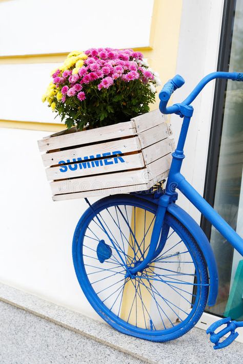 Bike Planter, Blue Spray Paint, Blue Bike, White Wooden Box, Relaxing Backyard, Bicycle Decor, Bicycle Painting, Retro Bicycle, Old Bicycle