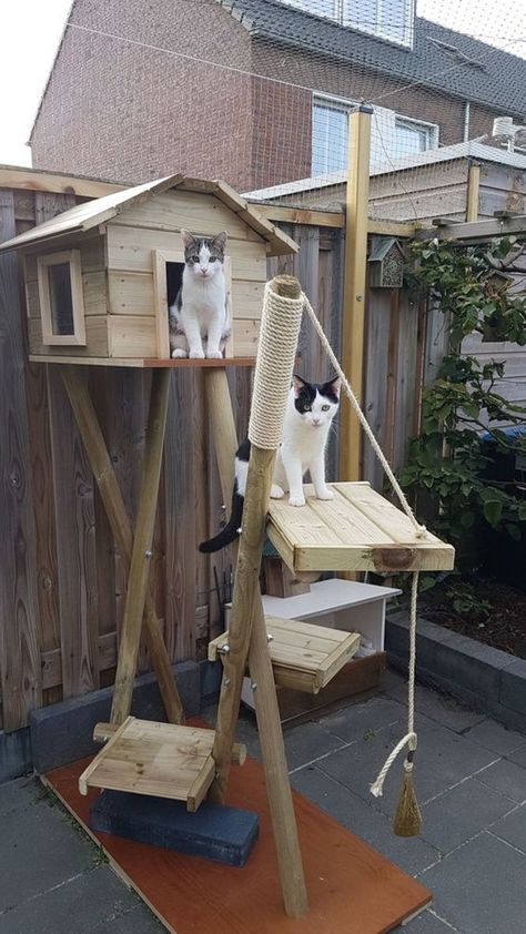 Outdoor Cat Tree, Catio Ideas, Cat House Plans, Feral Cat House, Chat Diy, Cat Fence, Cat Patio, Cat Tree House, Diy Cat Tree