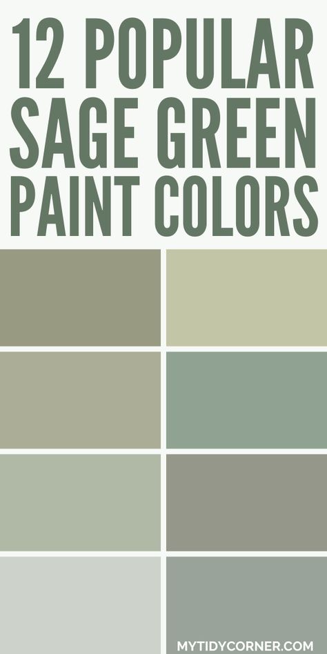 Collage of the top sage green paint colors from popular brands. Green Behr Paint Colors, Behr Sage Green Paint, Green Paint Colors Benjamin Moore, Best Sage Green Paint Colors, Best Sage Green Paint, Sage Green Shades, Sherwin Williams Paint Colors Green, Sage Green Paint Colors, Sage Paint Color