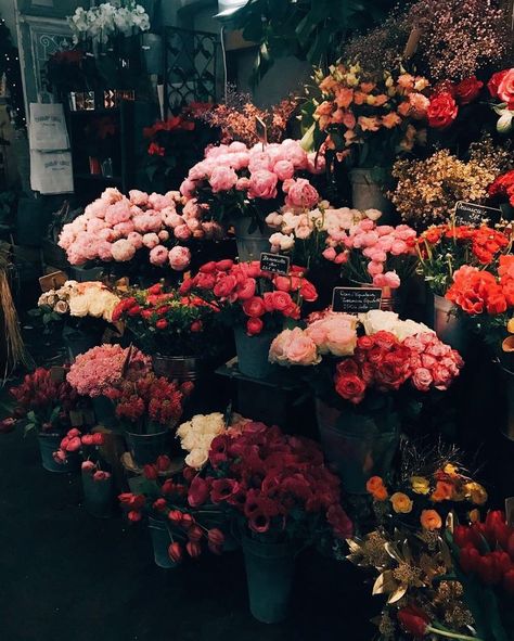 Different Types Of Flowers, Types Of Flowers, Flower Market, Different Types, Flowers, Pink, White