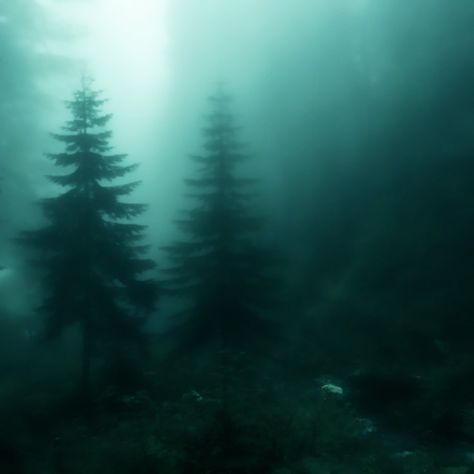 fairy core fairycore twilight core twilightcore aesthetic icons aestheticicons Twilightcore Aesthetic, Dark Fairy Core, Fairy Grunge Aesthetic, Dark Forest Aesthetic, Dark Fairycore, Grunge Pictures, Dark Green Aesthetic, Slytherin Aesthetic, Foggy Forest