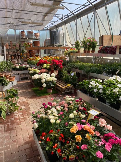 #shopping #gardening #garden #gardencenter #myshopping #green #aesthetic Garden Centre Aesthetic, Fragile Sanctuary, Gardening Club, Gardening Aesthetic, Clubbing Aesthetic, School Clubs, Garden Club, My Place, Summer Bucket Lists