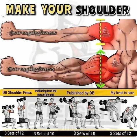 Shoulder Exercises, Perut Six Pack, Gym Bro, Shoulders Workout, Gym Workout Guide, Gym Exercises, Gym Workout Planner, Latihan Kardio, Bodybuilding Workout Plan