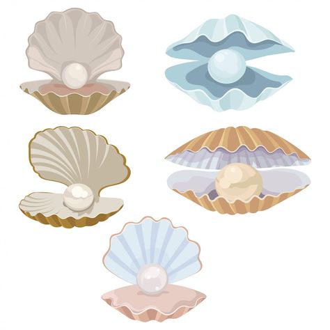 Clam Illustration, Seashell Drawing, Seashell Illustration, Pearl Seashell, Shell Drawing, Shell Tattoos, Underwater Art, Illustration Cartoon, Design Illustration