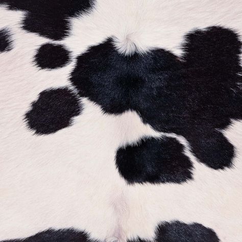 SPOTTED COW HIDE  Black and White Cow Hide. Cow Texture, Spotted Cow, Water Stone, Cheetah Print Wallpaper, Cow Print Wallpaper, Black And White Cow, Cow Spots, Black Couple Art, Fur Texture