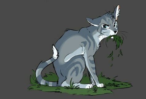 Jay Feather, Warrior Cats, A Cat, Jay, Art