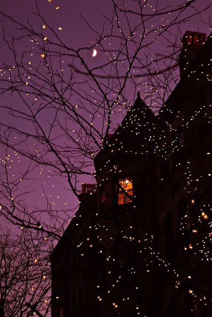 Halloween in Princeton, New Jersey Grafika Vintage, Halloween Decor Diy, Fall Inspiration, Theme Halloween, Into The Wild, Fete Anime, Mystic Messenger, Autumn Aesthetic, The Night Sky