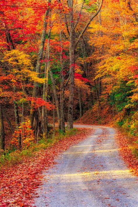 Rich Mt. Road | Colors. Red, orange, yellow, green. All Righ… | Flickr England Autumn, Autumn Photos, Fall Images, New England Fall, Autumn Foliage, Gas Stations, Autumn Scenes, 수채화 그림, Colorful Trees