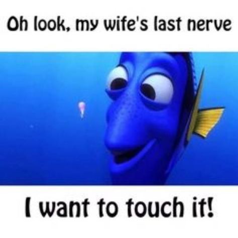 Married Life Humor, Wife Memes, Husband Meme, Witty Memes, Marriage Quotes Funny, Husband Wife Humor, Funny Marriage Jokes, Marriage Jokes, Wife Humor