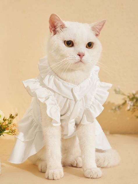 White    Polyester Plain     Pet Clothing Dog Clothes Diy, Fancy Cats, Cat Fashion, Pet Dress, Cat Dresses, Pet Fashion, Puppy Clothes, Cat Costumes, Pet Costumes