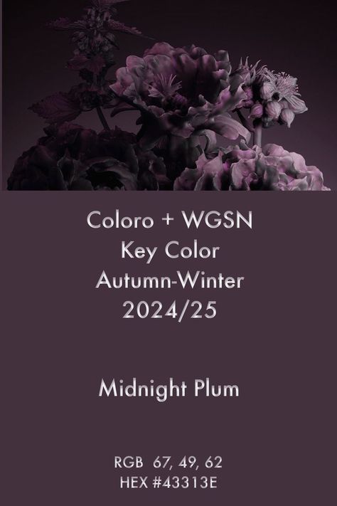 2024 Color Trends Forecast, Wgsn Aw24/25, Color Forecast 2023 2024, Fw 2024 Color Trends, Pantone 2024 Color Trends Fashion Winter, Pantone Colour 2024, Midnight Plum Fashion, Midnight Plum Color, Fw24 Color Trends