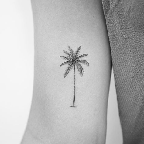 30 Stunning Palm Tree Tattoo Ideas for a Tropical Vibe - 100 Tattoos Elegant Palm Tree Tattoo, Small Palm Trees Tattoo, Palm Tree Tattoo Bicep, Palm Tree With Initials Tattoo, Vacation Tattoos Small Couple, Delicate Palm Tree Tattoo, Palm Tree Fine Line Tattoo, Coconut Tree Tattoo Minimalist, Dainty Palm Tree Tattoo