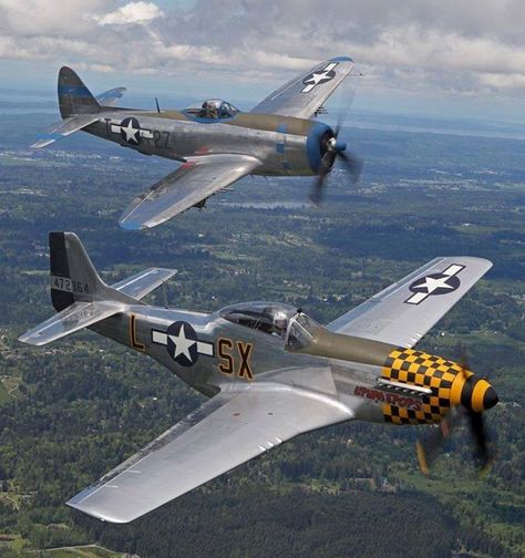 P51 and P47. Ww2 Fighter Planes, P 47 Thunderbolt, Wwii Fighter Planes, P 51 Mustang, American Air, Wwii Airplane, Old Planes, Wwii Fighters, Wwii Plane