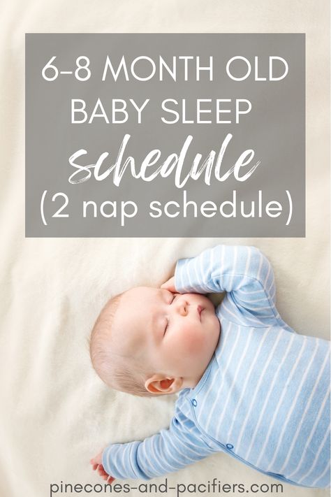 6 Month Sleep Schedule, 8 Month Old Schedule, 6 Month Old Schedule, 6 Month Old Sleep, Babywise Schedule, Moms On Call, Baby Sleep Routine, Baby Sleep Training, Toddler Schedule