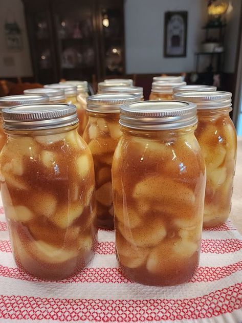 Homemade Amish Apple Pie Filling: A Taste of Tradition Small Batch Apple Pie Filling, Amish Apple Pie Filling, Small Batch Canning Recipes, Amish Apple Pie, Canning Apple Pie Filling, Canned Apple Pie, Apple Pie Filling Recipe, Canning Apples, Apple Pie Filling Recipes