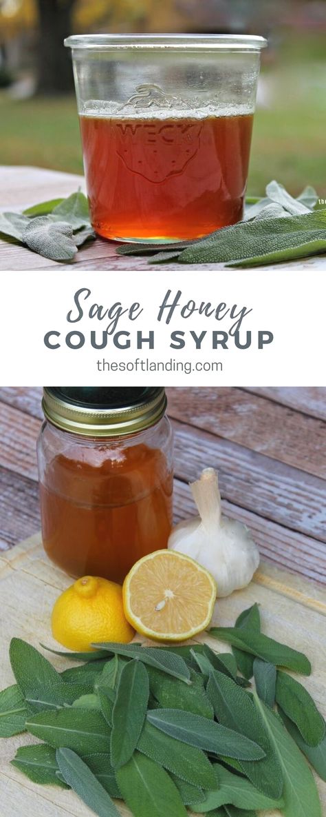 Diy Cough Syrup, Honey Cough Syrup, Sage Honey, Homemade Cough Syrup, Dry Cough Remedies, Dry Cough, Home Remedy For Cough, Natural Healing Remedies, Natural Cough Remedies