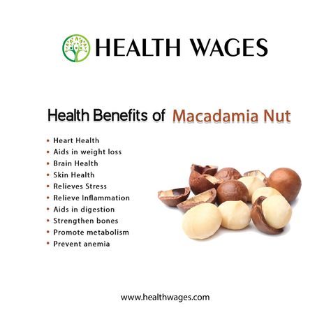 Health Benefits of Macadamia NUT #Diet #DietTipsPro #Benefits #Healthy_foods #Remedies #Exercise #diet #fitness #motivation #fit #healthy #lifestyle #health #Eating #Diets_routines #Diets_Benefits #DietsTips #Health_wages #Health_tips #Nut_Benefits For more updates visit our website https://healthwages.com/ Macadamia Nut Benefits, Nuts Health Benefits, Nut Benefits, Healthy Nuts, High Fat Foods, Fat Foods, Macadamia Nut, Tree Seeds, 200 Calories