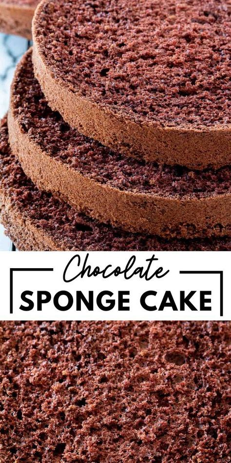 Chocolate Cake With Chocolate Frosting, Cake With Chocolate Frosting, Chocolate Sponge Cake, Chocolate Sponge, Chocolate Frosting, Sponge Cake, Best Chocolate, Cake Recipe, Chocolate Cake