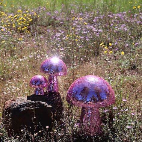 Disco Fairy Aesthetic, Cd Disco Ball, 18th Party Themes, Mushroom Disco Ball, Disco Fairy, Disco Mushroom, Trippy Stuff, Space Disco, Disco Floor