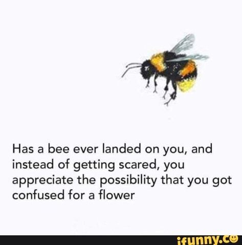 Has a bee ever landed on you, and instead of getting scared, you appreciate the possibility that you got confused for a flower – popular memes on the site iFunny.co #beemovie #movies #has #bee #ever #landed #instead #getting #scared #appreciate #possibility #got #confused #flower #pic Hozier, Intp, What’s Going On, A Quote, Instagram Foto, Pretty Words, Cute Quotes, Beautiful Quotes, Great Quotes