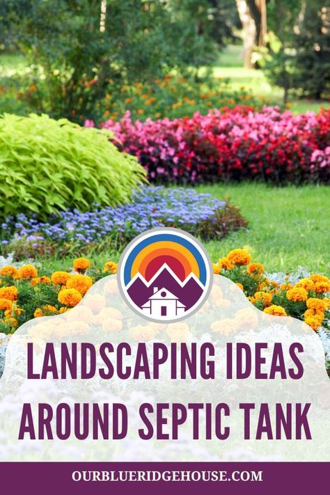 41 Simple Landscaping Ideas Around Septic Tank - Our Blue Ridge House Raised Septic Tank Landscaping, Septic Tank Landscaping, Septic Tank Cover Ideas, Septic Mound Landscaping, Affordable Landscaping Ideas, Large Bird Baths, Septic Tank Covers, Simple Landscaping Ideas, Affordable Landscaping