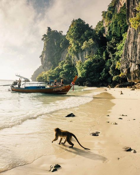 🌴Monkey Island, Thailand 💙 Krabi Thailand, Ancient City, Krabi, Future Travel, Beautiful Places In The World, Thailand Travel, Asia Travel, Phuket, Travel Aesthetic