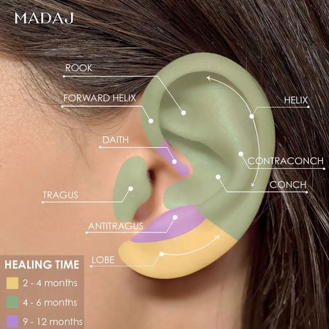 Ear Piercings Healing Time Full Guide | MADAJ First Ear Piercing, Daith Piercing Healing, Piercing Healing, Different Types Of Piercings, Different Ear Piercings, Lymph Fluid, Types Of Ear Piercings, Serena Van Der, Forward Helix Piercing