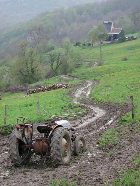 Farmer's ride Ford 8n, Farm Work, Ferguson Tractor, Road Work, Old Tractor, New Tractor, Classic Tractor, Go Karts, Old Farm Equipment