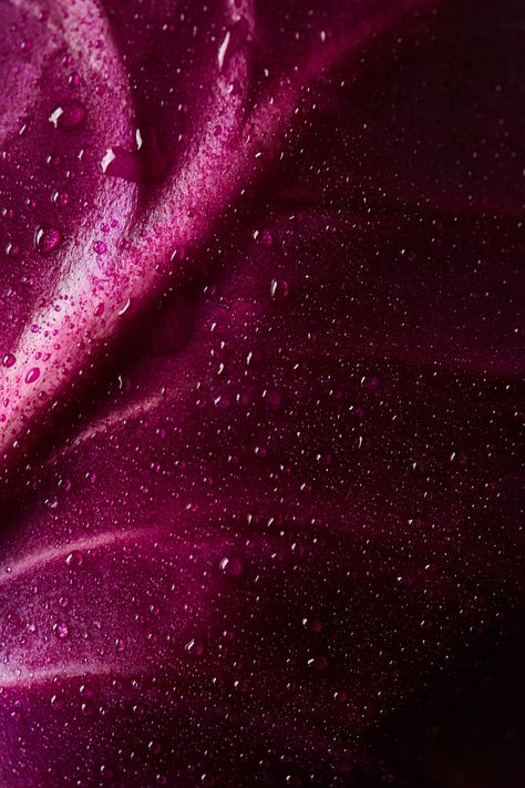 Red Cabbage! the colour was so vibrant #foodphotography #foodstyling #redcabbage #foodphotographyandstyling #rawproduce #spring #roastedveg #macro Red Cabbage Photography, Macro Vegetables, Beets Photography, Cabbage Photography, Macro Meals, Macro Shots, Image Painting, Red Cabbage, Stuffed Hot Peppers