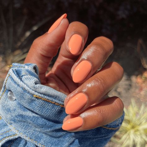 Sherbet Nail Colors, Nail Polish Coral, Pastel Nails Orange, Orange Creamsicle Nail Color, Creamsicle Orange Nails, Apricot Nail Color, Orange Nails Dark Skin, May June Nails, Tangerine Nail Color