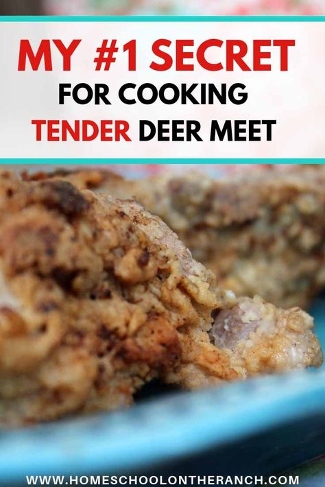 How to Cook Deer Meat | Tender Fried Deer Meat Recipe - Smart Mom at Home Recipes For Deer Meat, Deer Tenderloin Recipes, Deer Backstrap Recipes, Deer Steak Recipes, Moose Recipes, Backstrap Recipes, Deer Steak, Elk Recipes, Venison Meat