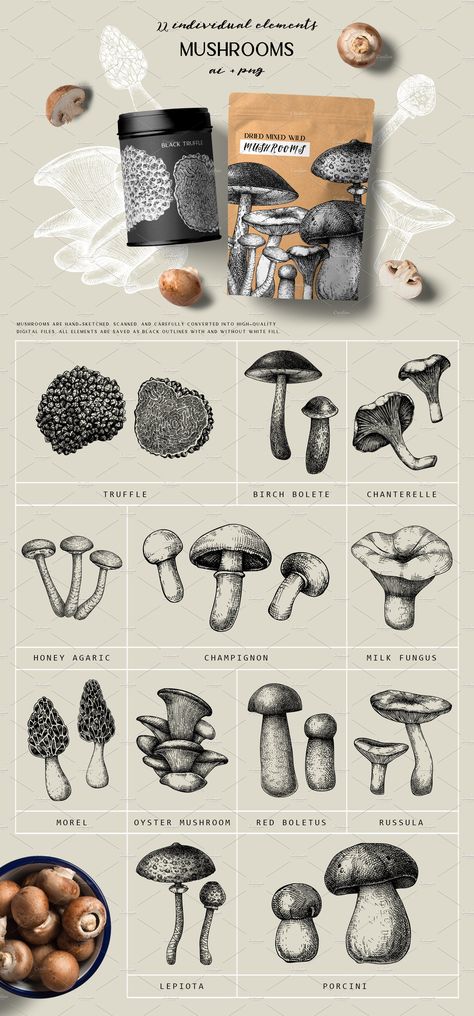 BUNDLE - Vegetables & Mushrooms by Yevheniia on @creativemarket Mushroom Package Design, Mushrooms Graphic Design, Mushroom Product Photography, Mushroom Packaging Design, Healthy Food Drawing, Mushroom Branding, Mushroom Business, Mushroom Packaging, Mushroom Logo