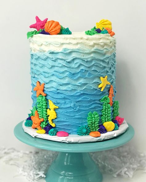 Whered they go Wednesday The next month of cakes are full blown fall mode so before my feed fully switches Im sharing the before shot on the baby shark cake! Still obsessed with how this turned out I used a small pointier palette knife to creat the waves and used vanilla bean buttercream to create that sand in the ocean look #makingofcakes #cakestagram #cakeporm #cakemaster #cakesofinstagram #cakephotography #cakeinspiration #wiltoncakes #cakeboss #bakeandshare #cakestv #igcakers #cakecentral #b Baby Shark Cake, Vanilla Bean Buttercream, Ocean Cakes, Shark Cake, Sea Cakes, Cake Central, Cake Photography, Wilton Cakes, Cake Boss