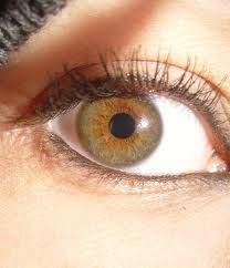 Central Heterochromia, Samsung Digital Camera, Hazel Green Eyes, Eye Facts, Hazel Eye Makeup, Different Colored Eyes, Hazel Green, Amber Eyes, Halloween Eyes