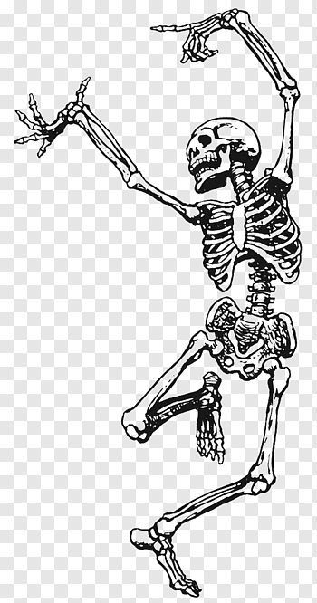 Drawings Of Skeletons, Skeleton Playing Instrument, Decomposing Animal, Art Png Aesthetic, Animal Skeleton Drawing, Skeleton Art Aesthetic, Dancing Skeleton Tattoo, Skeleton Doodle, Graffiti Skeleton