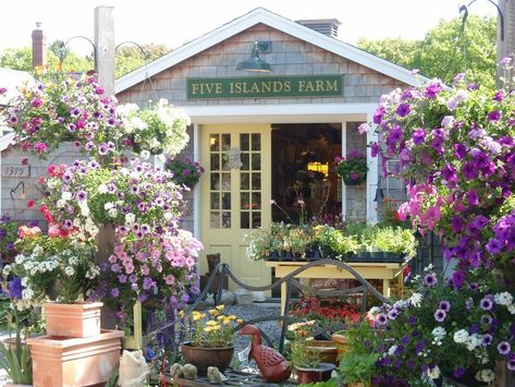 Five Islands Farm (Georgetown) - 2018 All You Need to Know Before You Go (with Photos) - TripAdvisor Georgetown Maine, Weekend Family Getaways, Blowing Rock Nc, Artisan Market, Long Weekend Getaways, Mountain Cottage, Outdoor Grills, Blowing Rock, Dining Restaurant