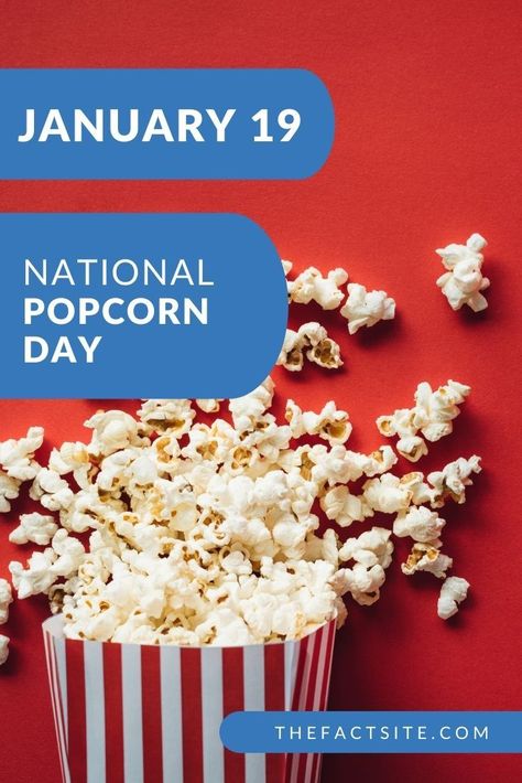 Popcorn Facts, Popcorn Ideas, National Popcorn Day, Popcorn Day, Resident Events, Movie Popcorn, Pop Popcorn, Celebration Day, Weird Holidays