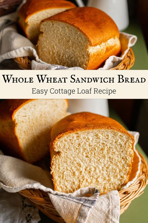 Cottage Whole Wheat Sandwich Bread: The Perfect Bread Recipe Fast Whole Wheat Bread, Light Wheat Bread Recipe, Whole Grain Sandwich Bread Recipe, Sandwich Bread Recipe Wheat, Whole Wheat Loaf Bread Recipe, Freshly Milled Bread Recipe, Soft Whole Wheat Bread Recipe, Honey Wheat Sandwich Bread Recipe, Wheat Bread Recipe Homemade