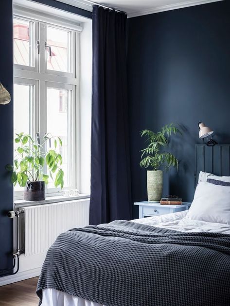 Dark Blue Curtains, Dark Blue Rooms, Reading Bedroom, Blue Bedroom Walls, Dark Blue Bedrooms, Blue Bedroom Decor, Blue Curtains, Blue Rooms, Blue Bedroom