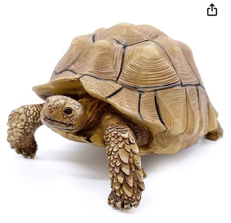 Indoor House Garden, Garden Diorama, Turtle Names, Sulcata Tortoise, Garden Gnomes Statue, Frog Decor, Figurine Collection, Turtle Figurines, Most Beautiful Animals