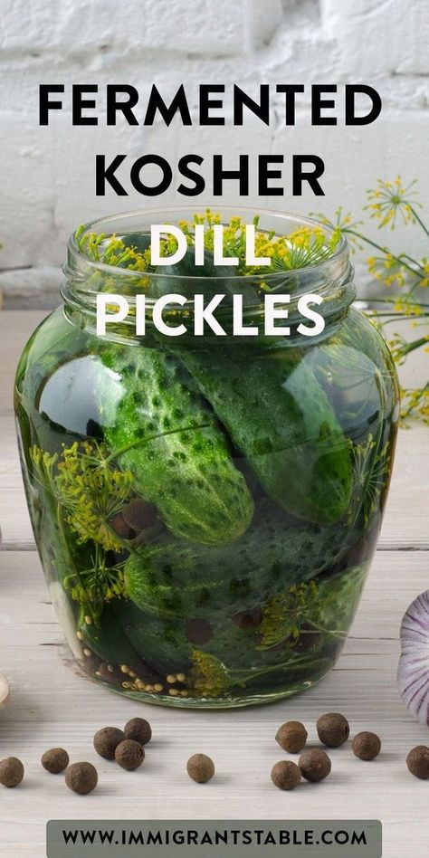 This pickling recipe transforms cucumbers into zesty fermented pickles, a staple in Jewish and Russian recipes. Perfect for canning, this dill pickle recipe is a delicious addition to any homemade food collection. Yummy homemade kosher dill pickles that bring a modern food twist to your cuisine. Don't miss out on making these homemade pickles dill! Click to master this cooking technique! #food #recipe Fermented Dill Pickles, Cold Cellar, Pickled Beet Salad, Fermented Vegetables Recipes, Kosher Pickles, Polish Dishes, Homemade Pickles Dill, Kosher Dill Pickles, Dill Pickle Recipe